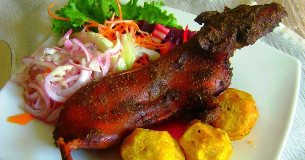 La Historia y Variedades del Cuy